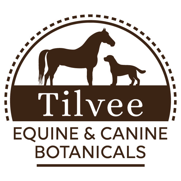 Clean, botanical care for the animals you love.