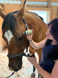 Equine / Canine: Bug Repel Stick