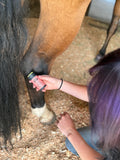 Equine / Canine: Remedy Balm Stick