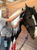 Equine / Canine: Bug Repel Stick